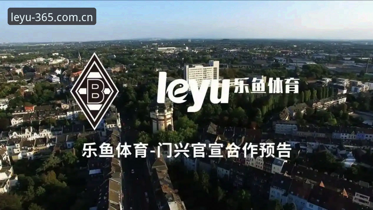 上着稳的乐鱼体育CN教程：从直接装到随手看，一次说清入口逻辑